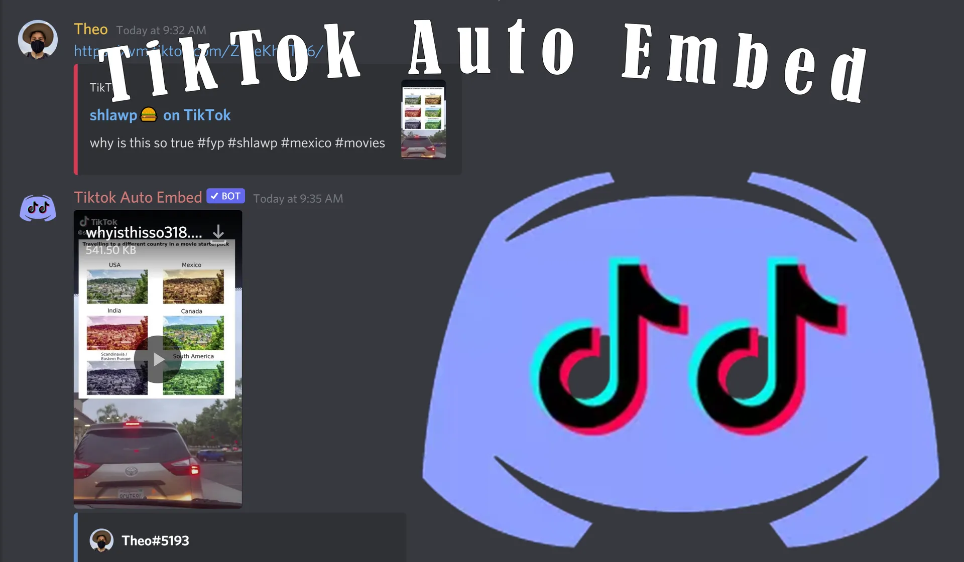 picture of Tiktok auto embed